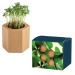 Pot cube Hexagon avec graines - Bulbes de trèfle à 4 feuilles Geschäftsgeschenk