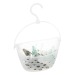 Pince linge x24 panier, transparent Geschäftsgeschenk