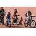 Fermoir antivol vélo 450mm sécurité Geschäftsgeschenk