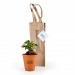 Bonsai im Terrakotta-Topf und Kraft-Prestigebeutel Geschäftsgeschenk