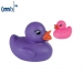 Magische Ente Geschäftsgeschenk