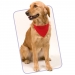 Bandana Roco Halskette Geschäftsgeschenk