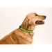 Collier réfléchissant pour animaux, collier pour chien Werbung