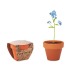 Miniaturansicht des Produkts FORGET ME NOT - Topf Vergissmeinnicht-Samen 0