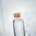 FRISIAN - Glasflasche 650ml, Glasflasche Werbung