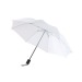 Faltbarer Regenschirm 1. Preis Geschäftsgeschenk