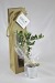 Plant d'arbre en sac kraft - Résineux, Arbre Werbung