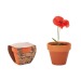 RED POPPY - Topf mit Mohnsamen Geschäftsgeschenk