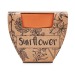 Miniaturansicht des Produkts SUNFLOWER - Topf Sonnenblumenkerne 3