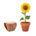 Miniaturansicht des Produkts SUNFLOWER - Topf Sonnenblumenkerne 0