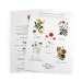 Saatmatte A4 - 120g RECTO-VERSO Geschäftsgeschenk