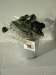 Trèfle à 4 feuilles poussé (pot zinc 10cm) Geschäftsgeschenk