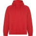 VINSON - Sweat à capuche unisexe en coton biologique peigné et polyester recyclé, Sweat à capuche Werbung