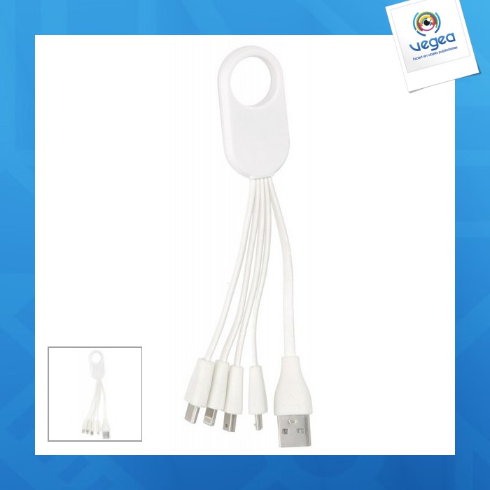 4-in-1-usb-kabel aus weizenstroh