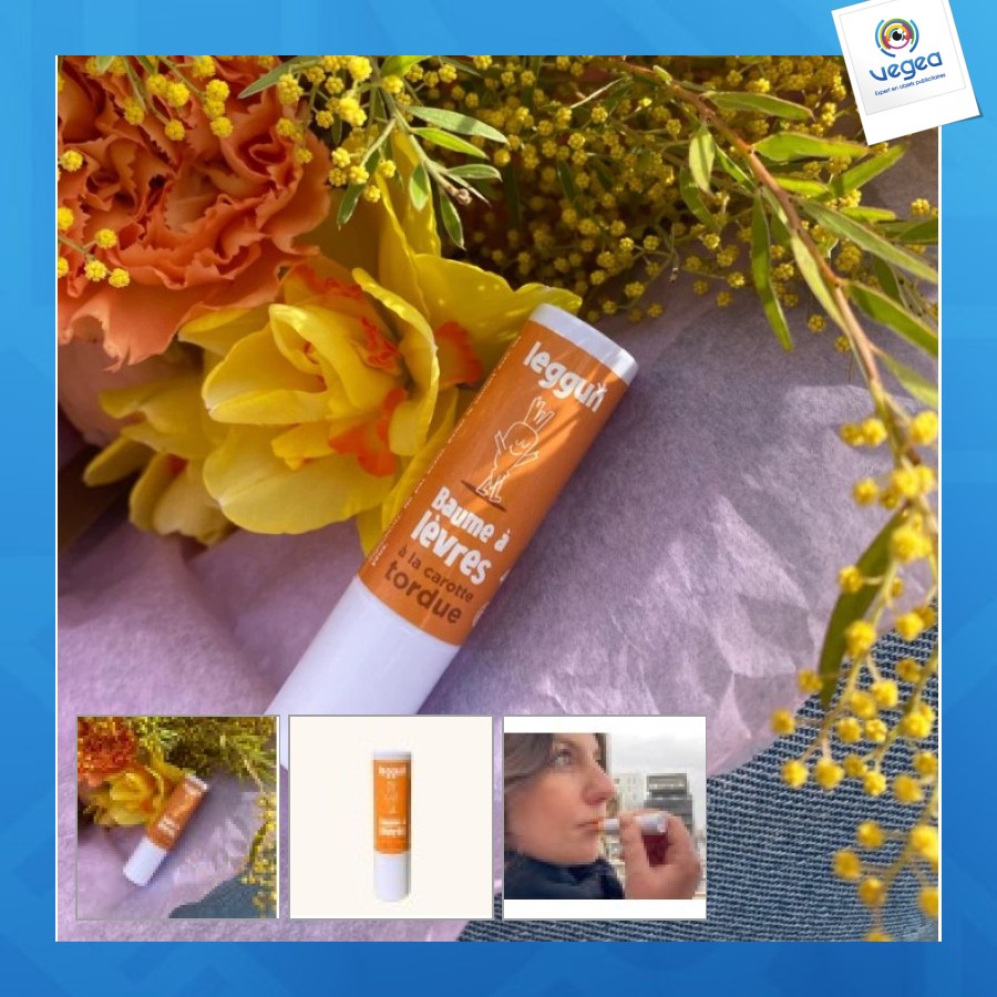 Bio-lippenbalsam 100% französisch