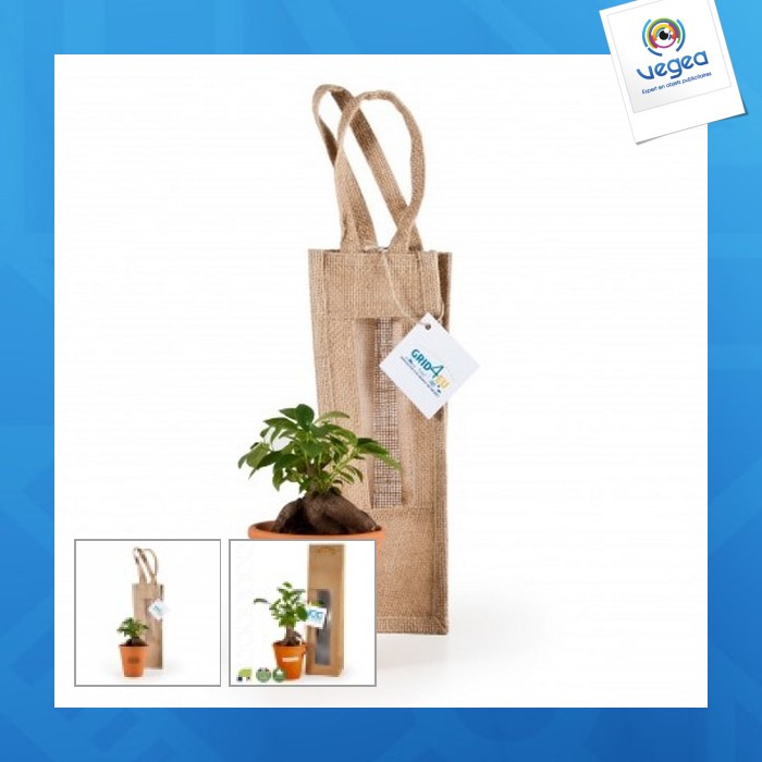 Bonsai im terrakotta-topf und kraft-prestigebeutel
