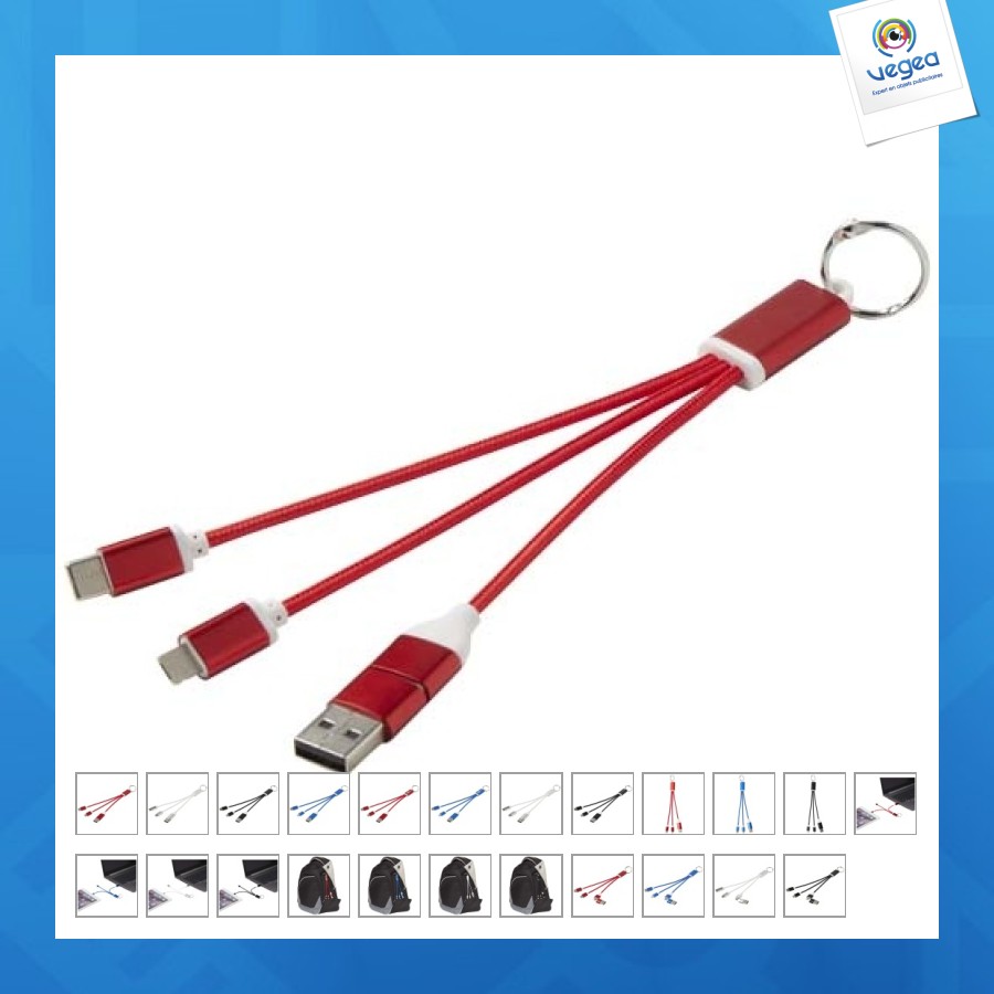 Câble de charge 4-en-1 metal en aluminium recyclé avec porte-clés