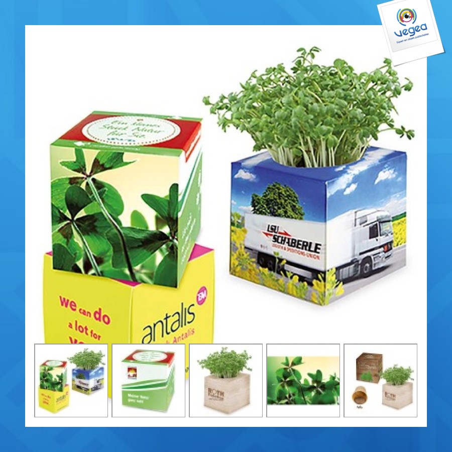 Cube à planter 2.0 - bulbes de trèfle à 4 feuilles 