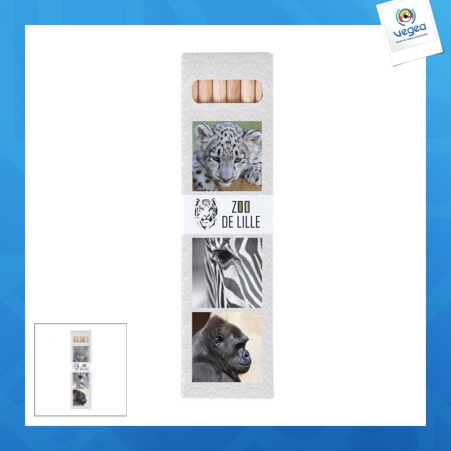Etui 6 aquarellables eco 17,6