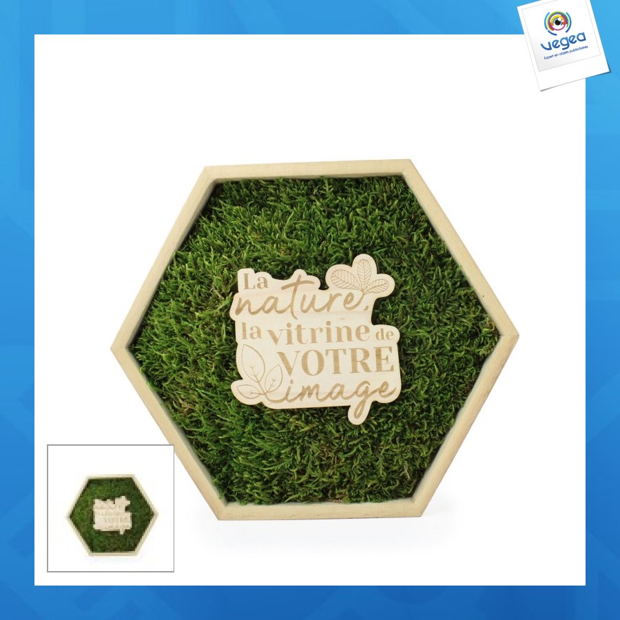 Hexagonaler moos-trophäe - ab 10 stück auf anfrage