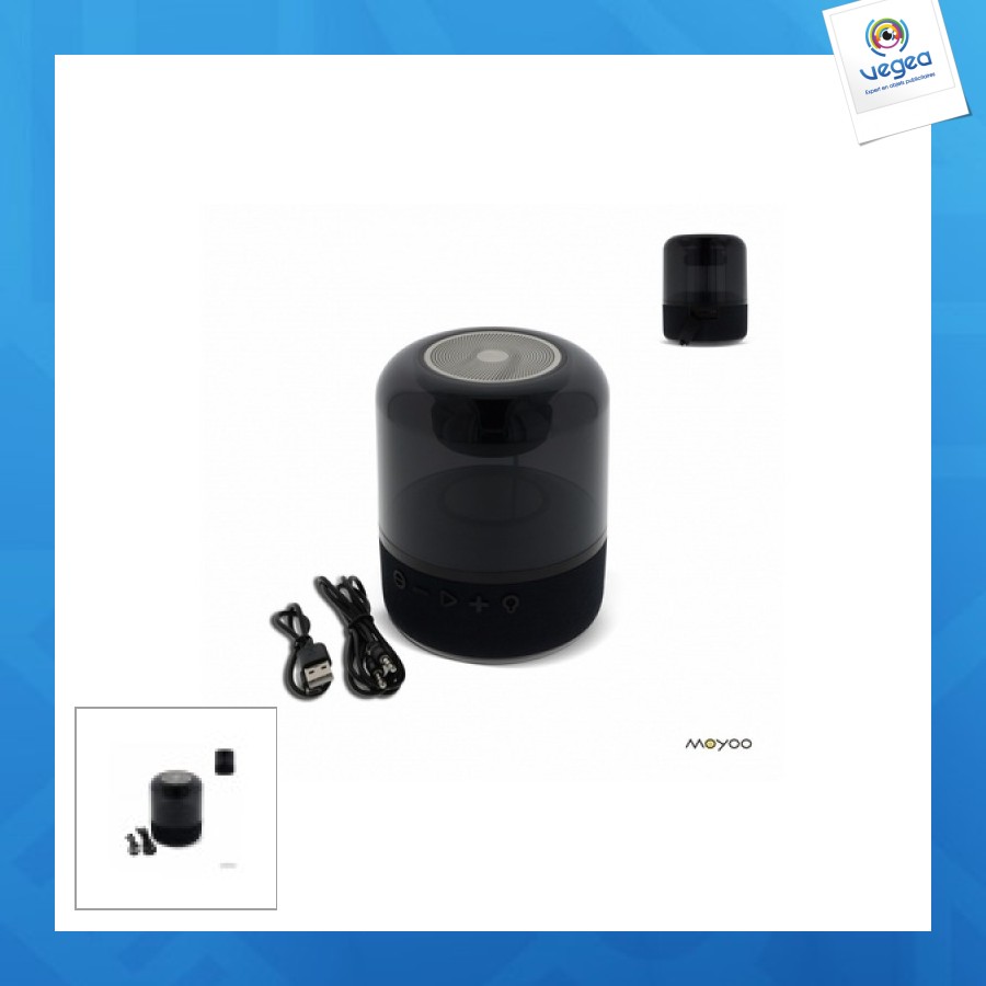 Kabelloser lautsprecher