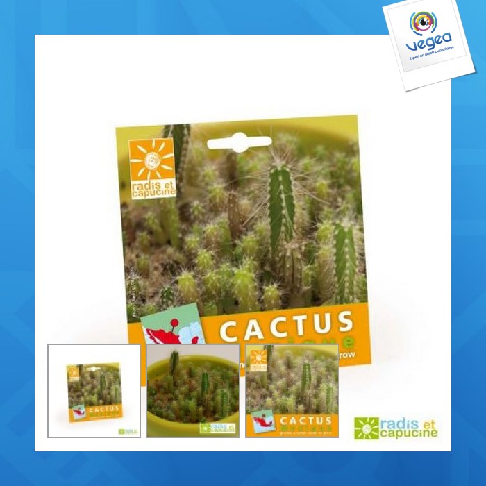 Kaktussamen in beuteln