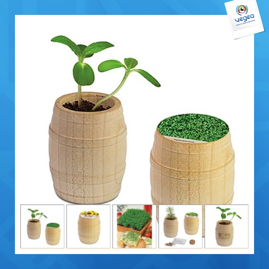 Mini-fass aus holz - gartenkresse