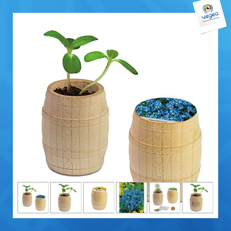 Mini-fass aus holz - vergissmeinnicht