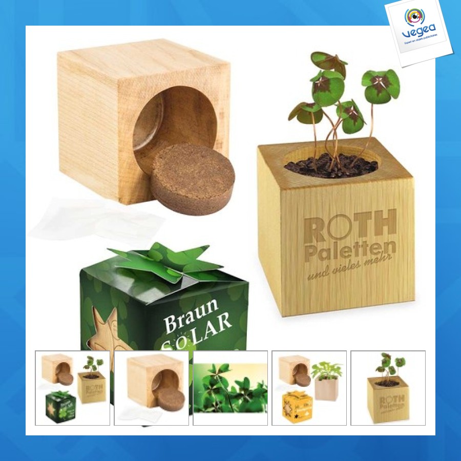 Mini-holzwürfel mit vierblättrigem kleeblatt in star-box - ohne lasergravur
