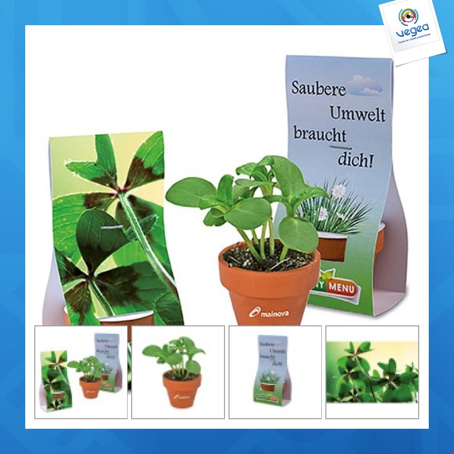 Mini pot terre cuite sous pochette - bulbes de trèfle à 4 feuilles 