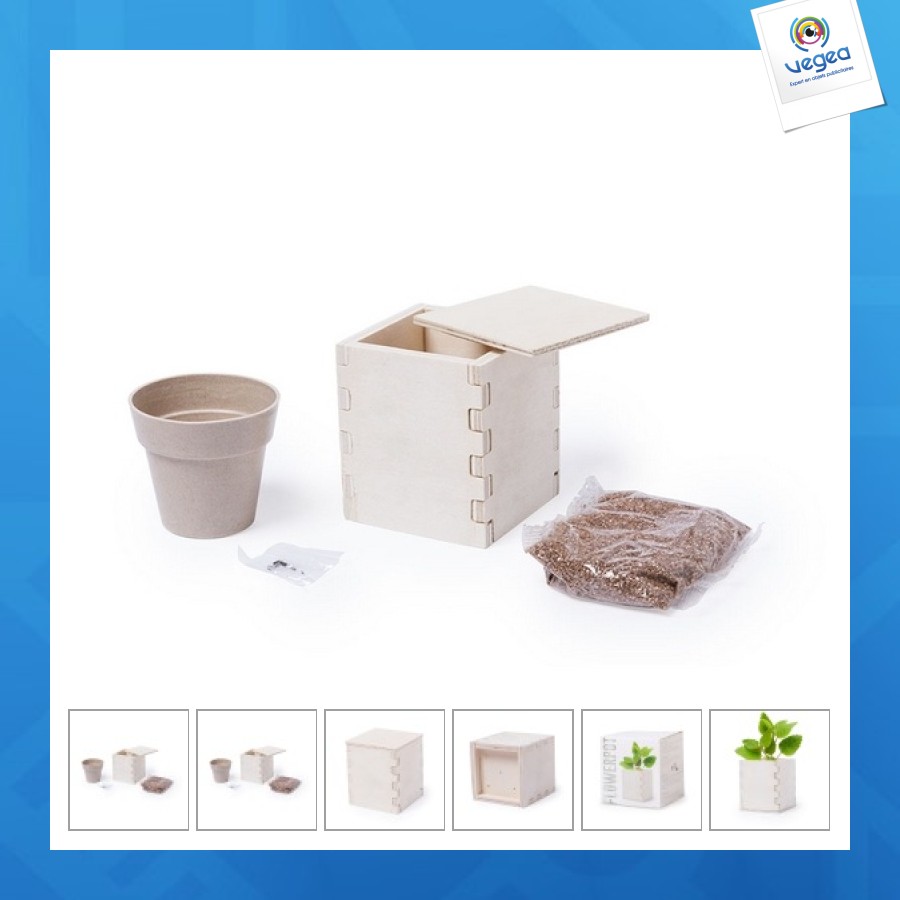 Minzgefäß mit übertopf Minzgefäß mit übertopf