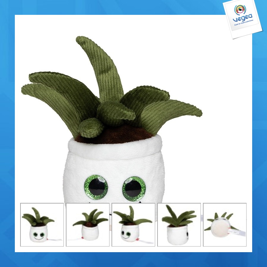 Peluche aloe vera