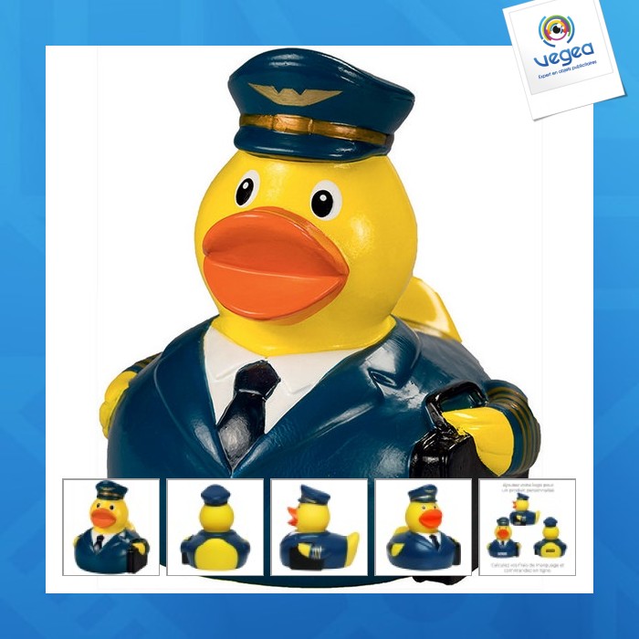 Pilot ente 