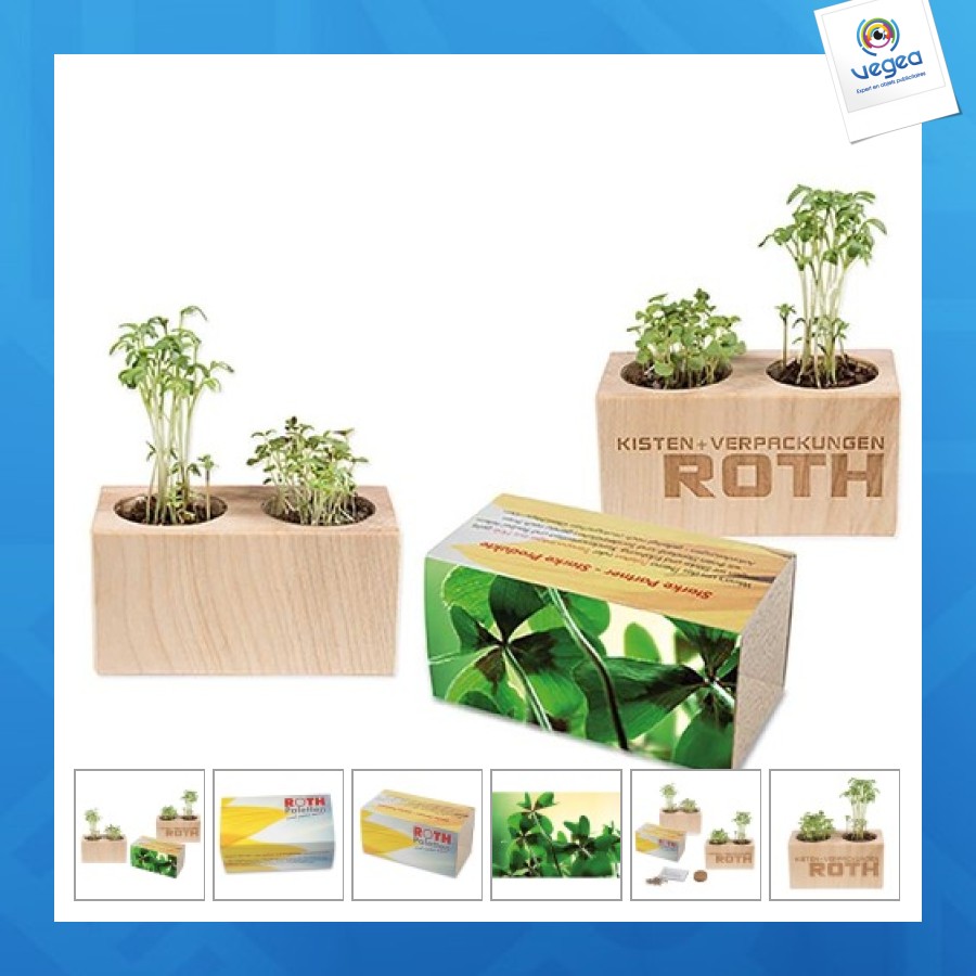 Pot bois 2 compartiments - bulbes de trèfle à 4 feuilles 