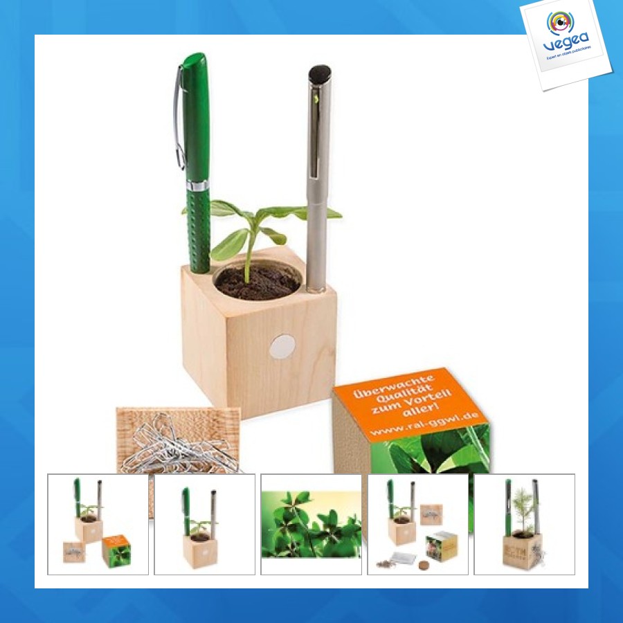 Pot cube bois de bureau - bulbes de trèfle à 4 feuilles 