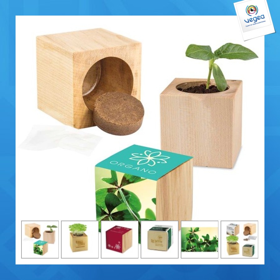 Pot cube bois maxi - bulbes de trèfle à 4 feuilles 