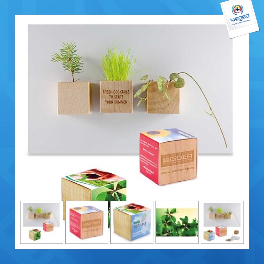 Pot cube bois mini avec aimant - bulbes de trèfle à 4 feuilles 