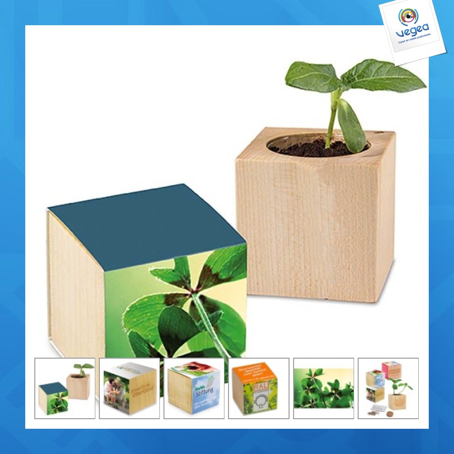 Pot cube - bulbes de trèfle à 4 feuilles 