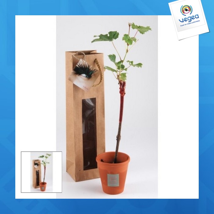 Rebenbrühe im geschenktopf