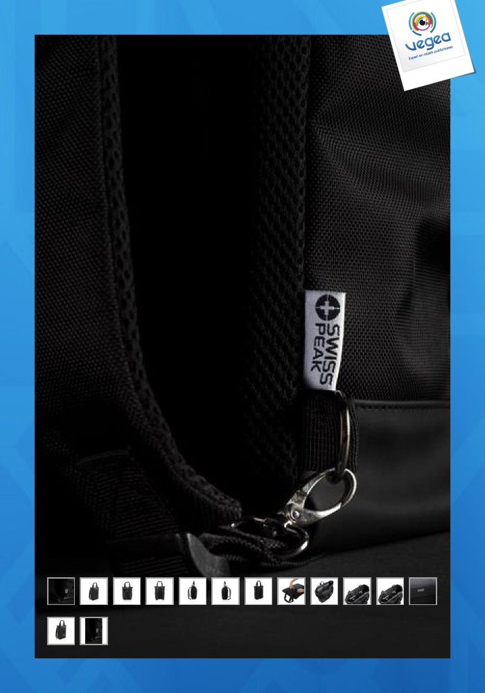 Schweizer peak 2 in 1 computer-rucksack