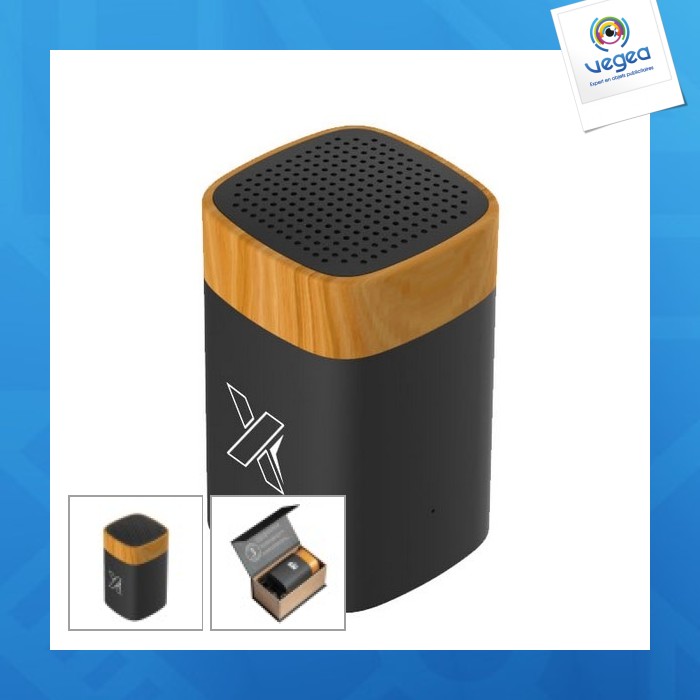 Speaker clever wood