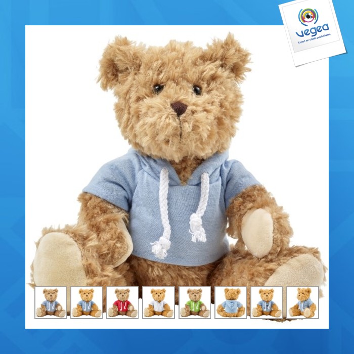 Teddybär mit kapuzenpulli