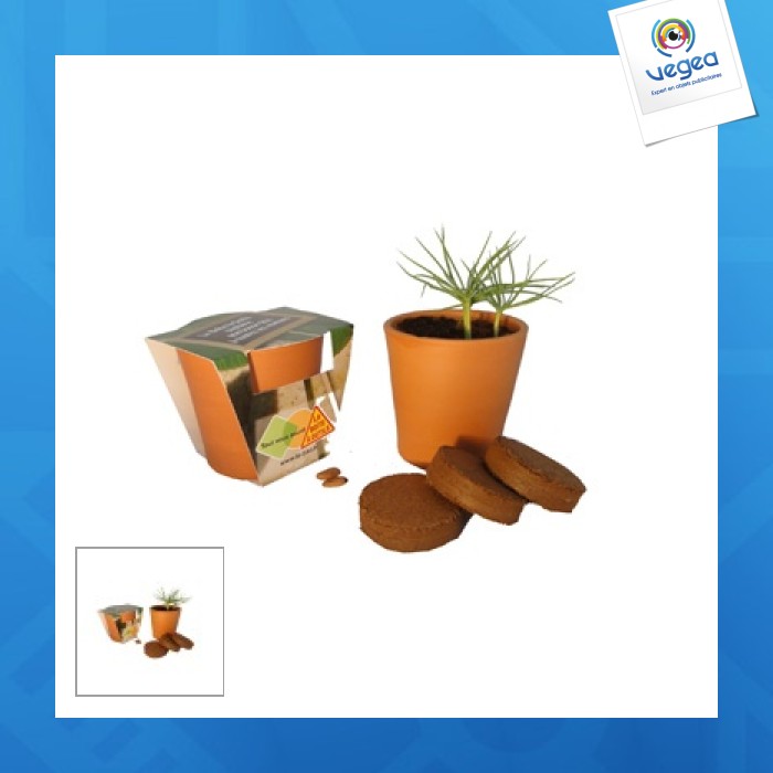 Terrakotta-pflanzset 10cm