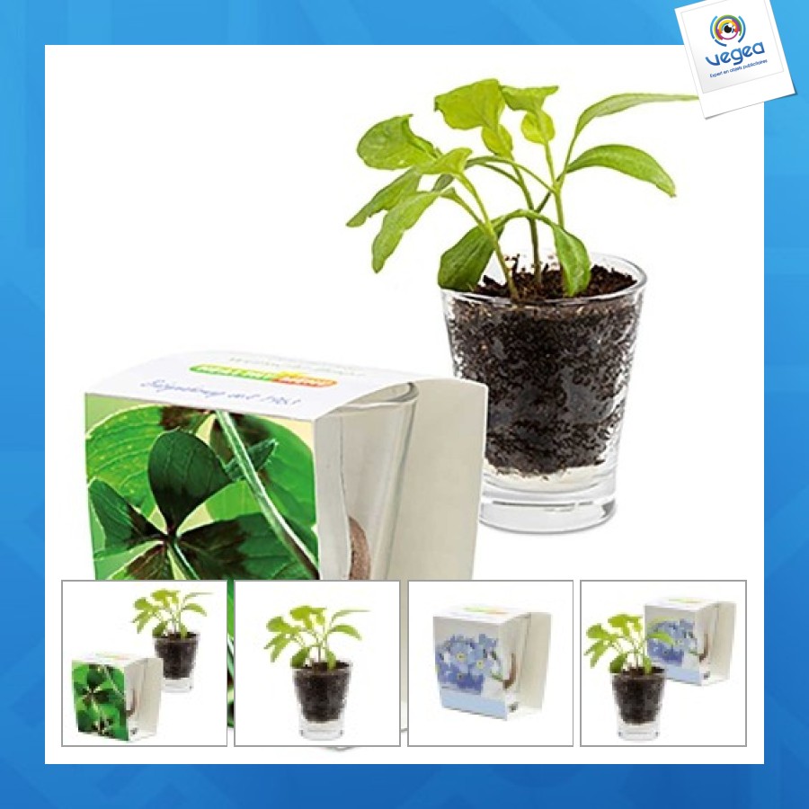 Verre expresso - bulbes de trèfle à 4 feuilles 